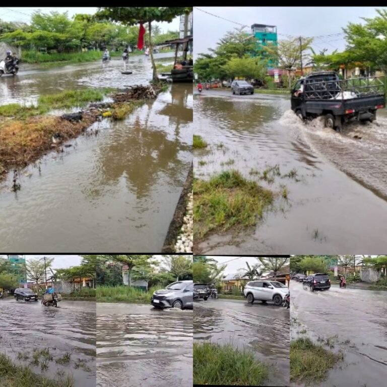 WhatsApp Image 2026-02-01 at 12.03.35