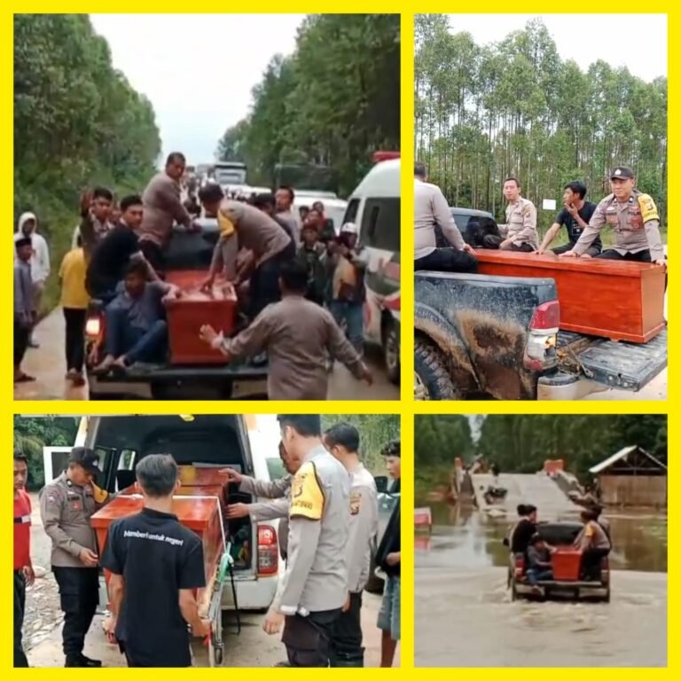 WhatsApp Image 2026-02-03 at 16.45.11