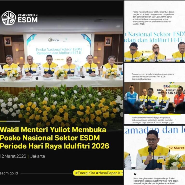 WhatsApp Image 2026-03-13 at 15.45.03