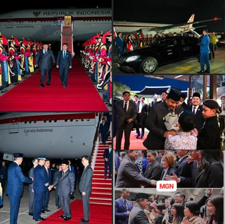 WhatsApp Image 2026-04-02 at 20.49.17