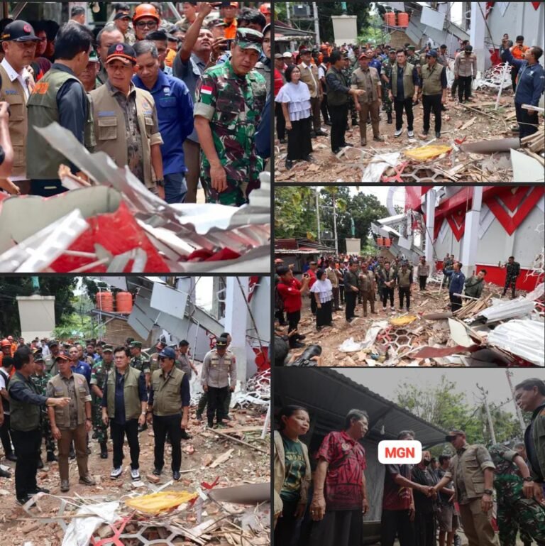 WhatsApp Image 2026-04-03 at 17.29.54